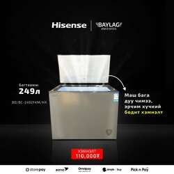 Hisense 249л